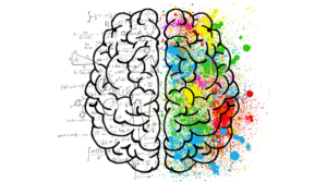 Enquiring Minds- Brain Drawing